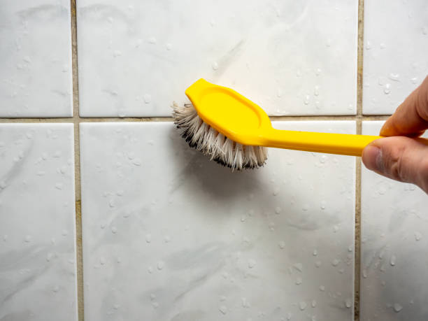 Best Emergency Mold Removal  in Noank, CT
