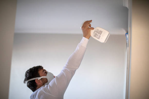 Best Mold Removal Company Near Me  in Noank, CT