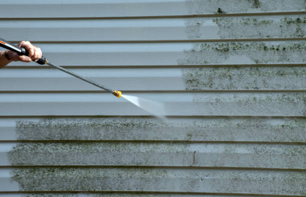 Best Attic Mold Removal  in Noank, CT